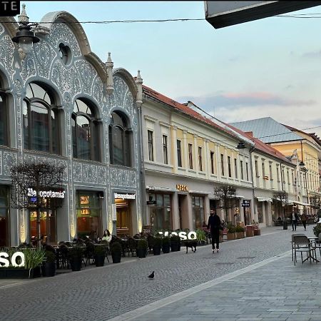 Aparte, Ultracentral Apartament In Moskovits Palace オラデア エクステリア 写真